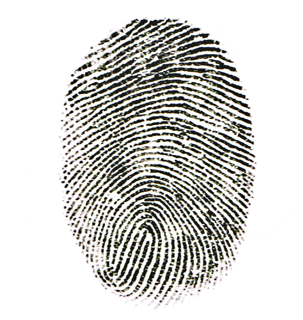 fingerprint capture jpg